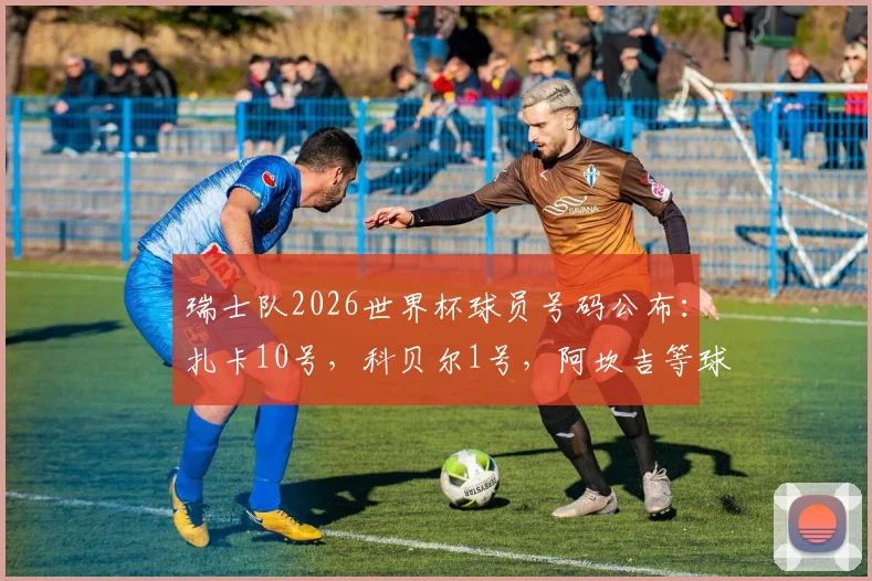 瑞士队2026世界杯球员号码公布:扎卡10号,科贝尔1号,阿坎吉等球星号码一览