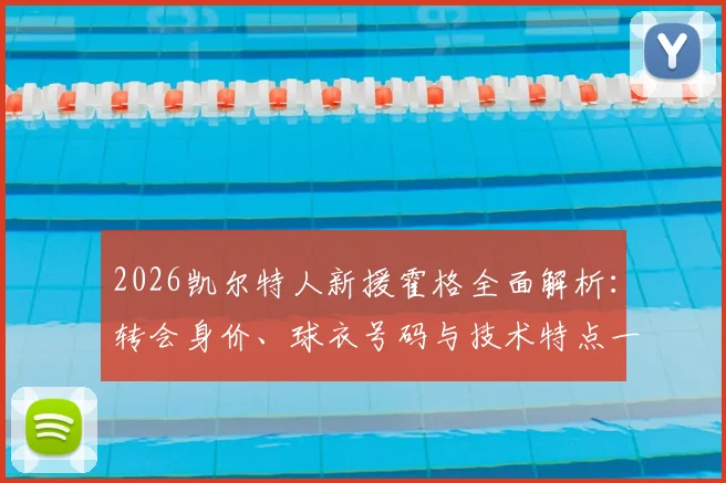 2026凯尔特人新援霍格全面解析：转会身价、球衣号码与技术特点一览，天空体育确认体检完成